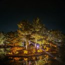 달빛바라기 | [부부여행] 경주 야경이 너무 황홀한 달빛연못 &#39; 동궁과 월지 &#39; 부부 여행 심야데이트 후기🌠