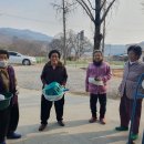 신원양지마을 이미지