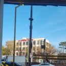 무등산호랭이 이미지