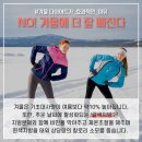 샐러디제주 | 제주시 샐러드 포케 맛집! 다이어트 식단! 샐러디 제주시청점 메뉴와 후기! 배불러도 죄책감 제로!