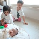 열매열무2
