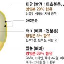 전기 밥솥 시대에 밥맛을 결정하는 도정① - K푸드를 이끄는 맛의 과학 이미지