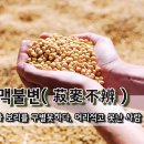 [오늘의 고사성어] 숙맥불변(菽麥不辨) - 콩과 보리를 구별못하다, 어리석고 못난 사람 이미지