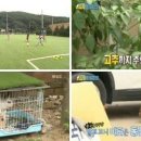 송종국축구교실 지디넷코리아