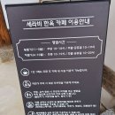 군남베이커리 | 연천 애견동반대형카페 족욕과 장독대뷰는 서비스 ! 세라비한옥카페] 내돈내산 솔직후기