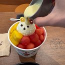 빨콩구월