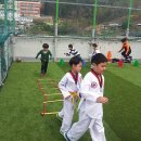 용당타이거즈태권도 네이버블로그