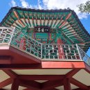 완산-159 Daum카페