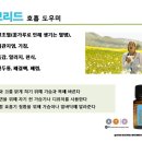 도테라 아로마 오일 비염 천식 기침에 탁월한 효과 이미지