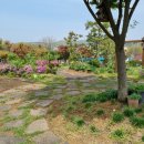 송악어린이집 이미지