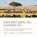 마사이 - 15548 | 마사이