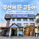 부산생선 - 중구 달성공원로8길 10 | 부산 문현맛집 지게골역밥집 부산에뜬고등어 내돈내산 생선구이후기