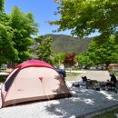 농월정오토캠핑장 이미지