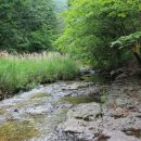 신선계곡 이미지