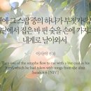 스랍(seraphs) 이미지