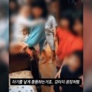 열방농장 이미지