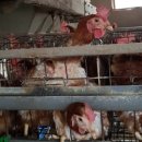 법원읍행정복지센터 이미지