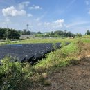 광명리마을회관 이미지