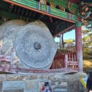 동의보감촌상설마당극공연 | 산청 나들이 동의보감촌 복성정 귀감석 석경 위치(산청 3대 기바위 체험장)