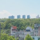 스테이나라 이미지