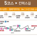 덕산로 가로수길 | 서울 근교 나들이 장소로 고양 걷기좋은길, 평화누리길 트레킹 후기