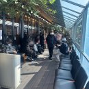 도란도란밥상 | 서구 맛집 평창곤드레밥상 내돈내산 후기