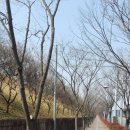 재관농장 이미지