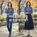 니트디자인(주간) | 씨씨콜렉트 퍼프슬리브 니트 E252KSK142, 왜 난리 났을까?