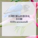 영통단단마디의원 이미지