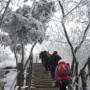 눈꽃이피다 이미지