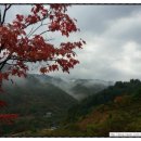 미산힐링 네이버블로그