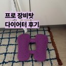 프로 장비탓 다이어터의 웰밸런스 써큐스텝 내돈내산 후기