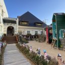 석화꽃무지풀무지유치원 이미지