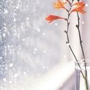 김인숙 농장 이미지