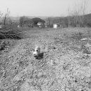 두모1리 이미지