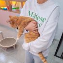 마린파크 동물병원 이미지