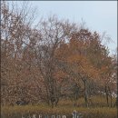 한양스크린골프장(스크린) | 레이크우드CC 후기 | 12월인데 봄날 같았던 양주 명문 골프장 라운딩 (2025년 12월)