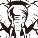 크로스핏엘리펀트 이미지