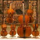 비올라 1:1 개인레슨 이미지