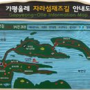 자라섬째즈길 이미지