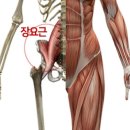 대웅한의원 이미지