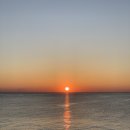 비치버거 이미지