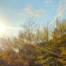 대음여성경로당 이미지