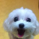 낼름