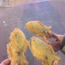 털보네화로구이