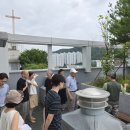 메디하자 이미지