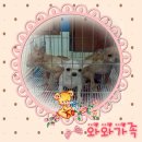 패밀리와와 이미지