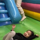 청주고양이카페아이캣유 이미지