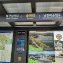 숲머리 이미지