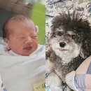 사무실용 건축물, 기쁨병원 | 울산 보람병원 제왕절개 비용 출산 1인실 입원 솔직 후기, 빠른 회복 꿀팁, 리안산후조리원